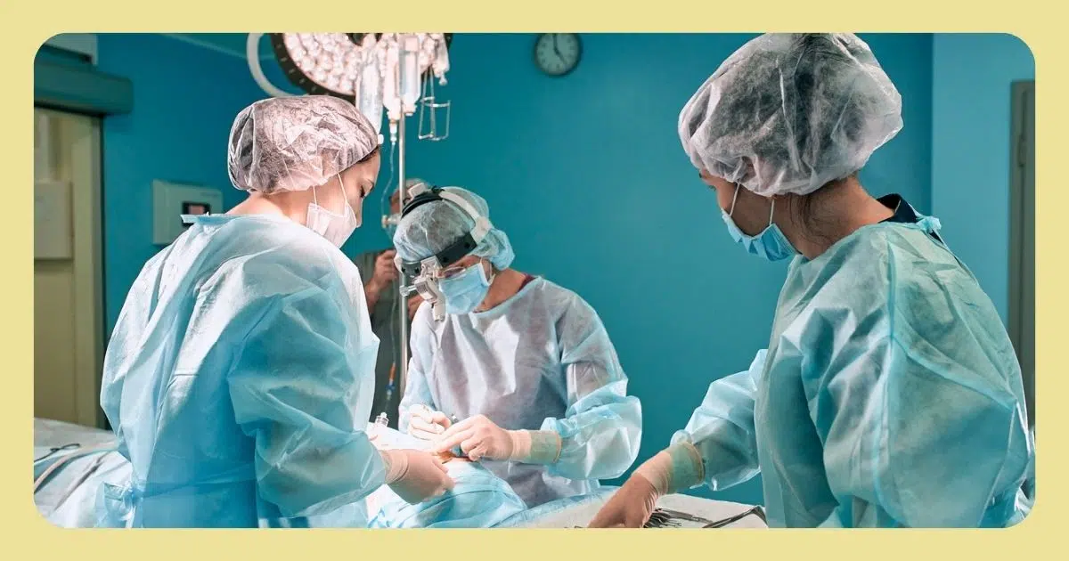 Surgical assistant